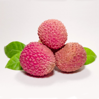 Logo Lychee