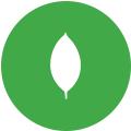 Logo Mongo Express