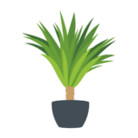 Logo Yucca